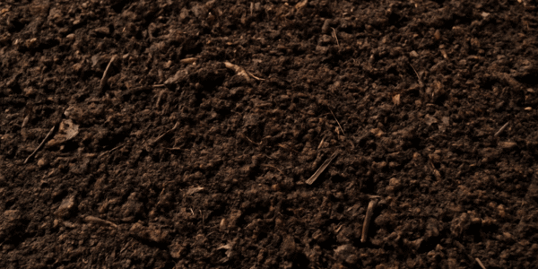 organic compost