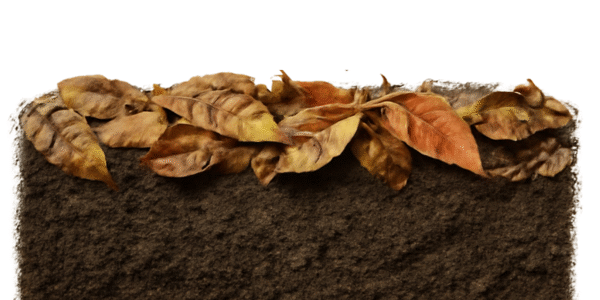 Mulch for your garden