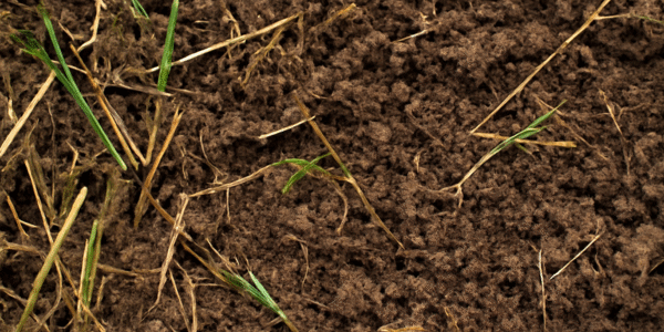 Midwest Compost in Elgin, Illinois