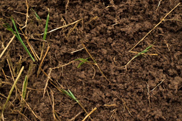 Midwest Compost in Elgin, Illinois