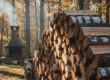 Firewood