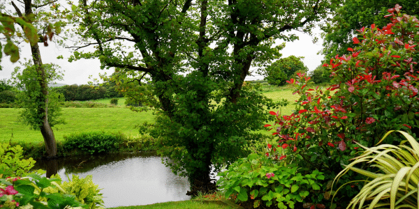 Essential Autumn Landscaping Essential Autumn Landscaping