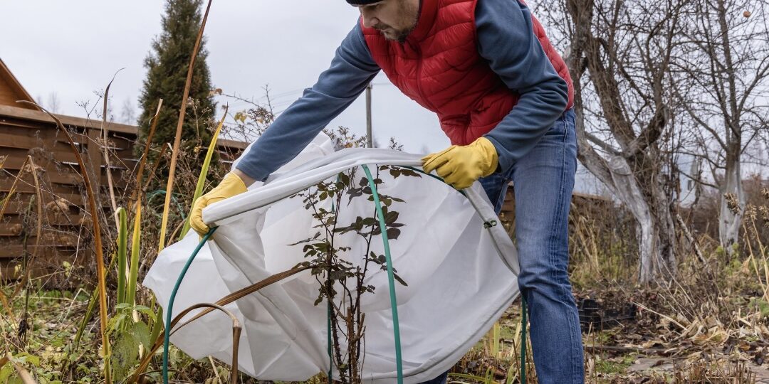 Winter Landscape Materials Guide